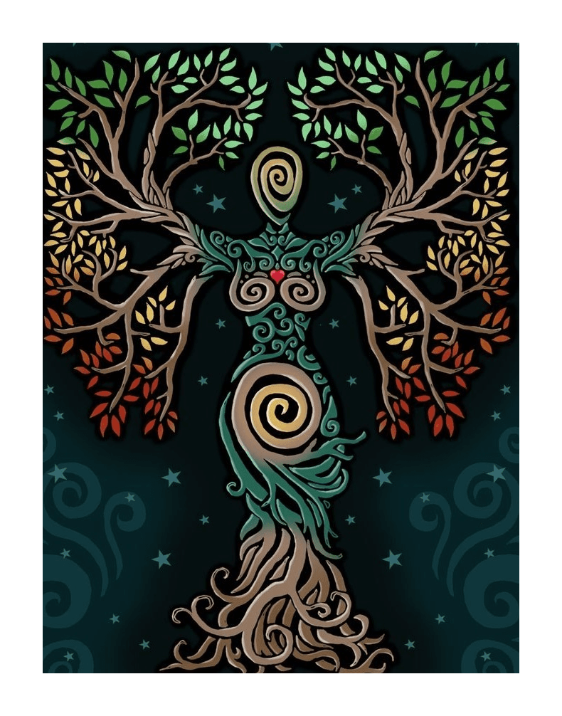 Ilustración del Bosque de la Sabiduría